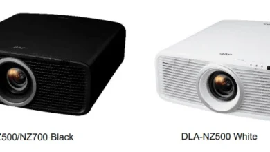 Nsegg.nz: What the Website Is, Why It's Trending