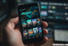 Alogum: Complete Guide to MOD APK Downloads, Features, and Risks